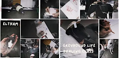 Greyhound Life Drawing class - Greyt Greys Rescue fundraiser