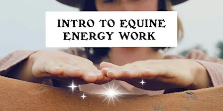 Intro to Equine Energy Work
