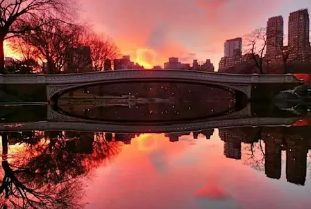 Central Park Singles Sunset Stroll