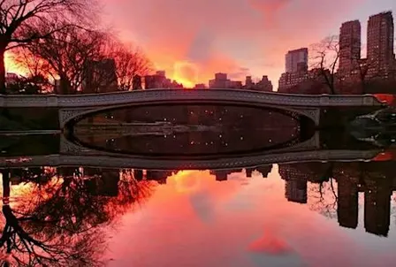 Central Park Singles Sunset Stroll