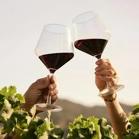 Wine Wise : The Importance of Place