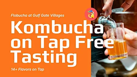 Flobucha Free Weekly Kombucha Tasting