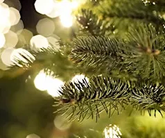 Christmas Table Decoration Workshop