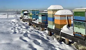 Sustainable Beekeeping Symposium