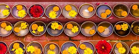 Weekend Insight Meditation Retreat with Nikki Mirghafori [Nov6ac]
