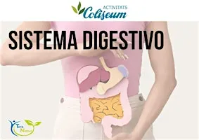 La salud comienza en el sistema digestivo