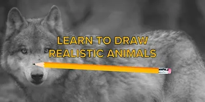 Drawing Animals Class: Wolf