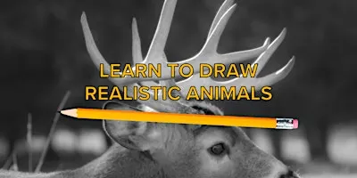 Drawing Animals Class: Deer