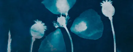 Cyanotype Workshop (Bowmanville)