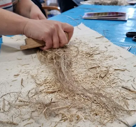 Fabulous Flax to Lustrous Linen -  Macclesfield Textile Week