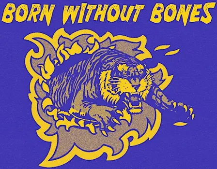 Born Without Bones