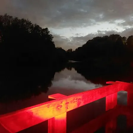 Worsley Woods Bat Walk