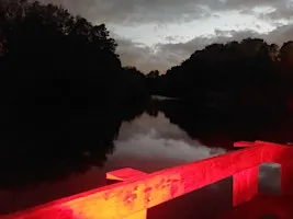 Worsley Woods Bat Walk