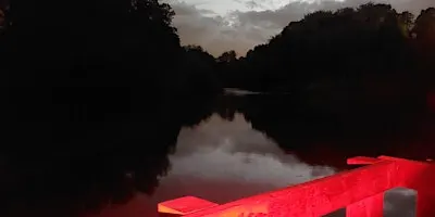 Worsley Woods Bat Walk