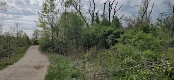 Fall Migration Bird Walk