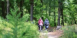 Social & Stroll Wageningen met de Walk Club