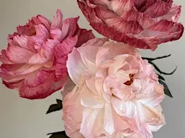 Paper Peonies with Southon Fox , hosted by Studio Ward @Thesussexcottage