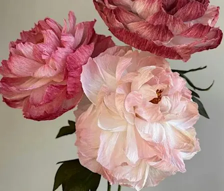 Paper Peonies with Southon Fox , hosted by Studio Ward @Thesussexcottage