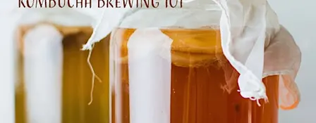 Kombucha Brewing Class