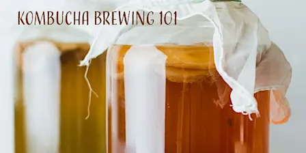 Kombucha Brewing Class