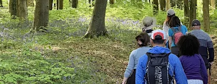 Green Walks (26/9) - Painswick Beacon (Route B)