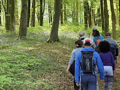 Green Walks (26/9) - Painswick Beacon (Route B)