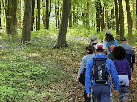 Green Walks (26/9) - Painswick Beacon (Route B)