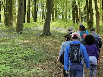 Green Walks (26/9) - Painswick Beacon (Route B)