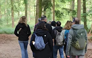 Social & Step Veluwe met de Walk Club