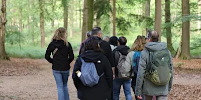 Social & Step Veluwe (Posbank) met de Walk Club