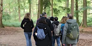 Step & Sweat Veluwe (Posbank) met de Walk Club
