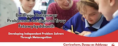 Developing Independent Problem Solvers Through Metacognition