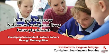 Developing Independent Problem Solvers Through Metacognition