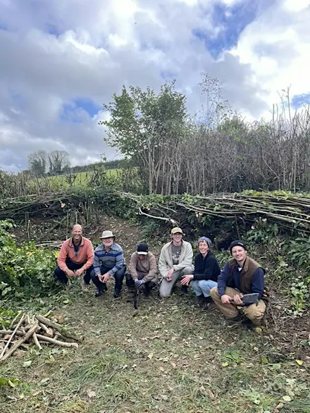 Hedge Laying Course (Devon Style)