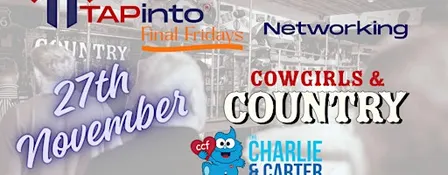 Final Fridays Networking - Newcastle 27th November 2026