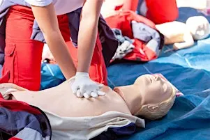 Heart Heroes of Brunswick: Life-Saving Skills Training