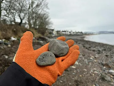 Fossil Walks 2026