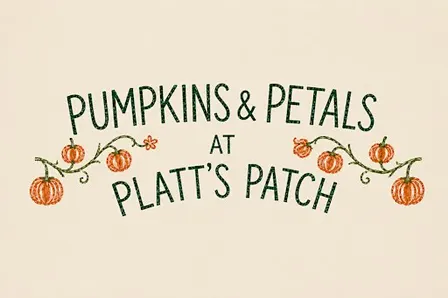 Pumpkins & Petals at The Platt’s Patch