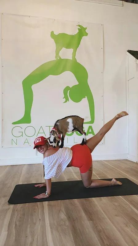 Goat Yoga Nashville- Sensational September