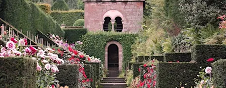 Private Tour & CreamTea at Biddulph Grange