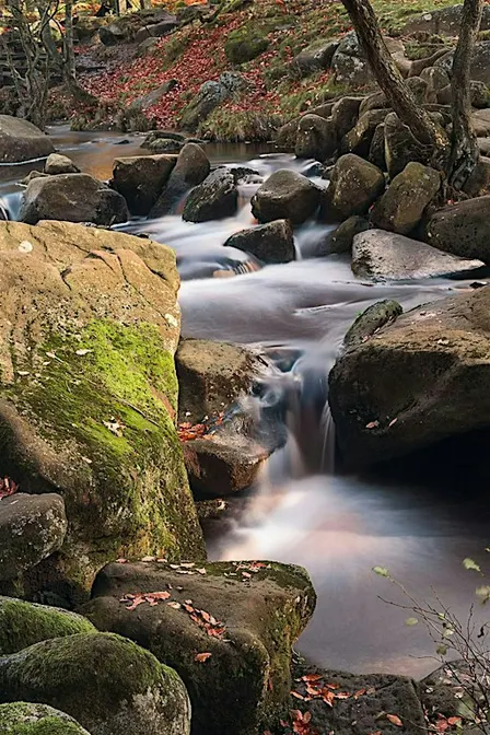 Wex Workshops: Landscapes | Autumn & Winter Colours at Padley Gorge