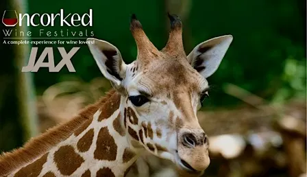 Uncorked: JAX