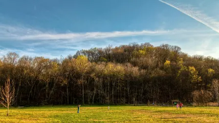 Wildlife Identification Walk & App Workshop