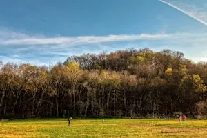 Wildlife Identification Walk & App Workshop
