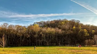 Wildlife Identification Walk & App Workshop