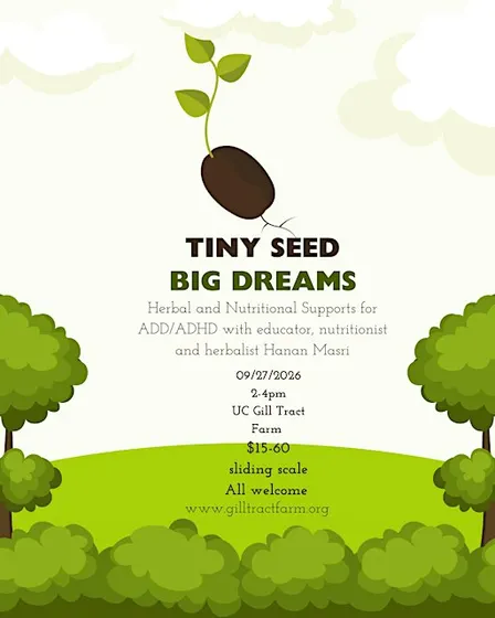 Tiny Seed Big Dreams: Herbal and Nutritional Supports for ADD/ADHD