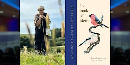 Jackie Morris: The Book of Birds