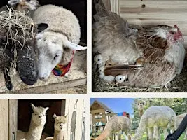 Parent & Me Farmyard Flow & Snuggles - All ages