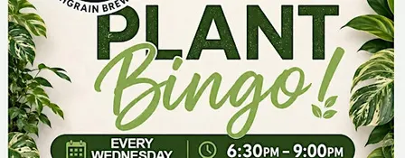 GREEN-Go: Plant Bingo! HighGrain Brentwood