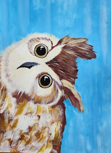 Paint & Cake -  Quirky Owl